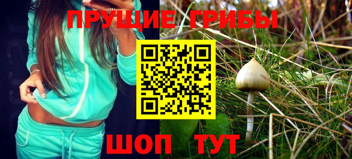 Меф мяу мяу Избербаш