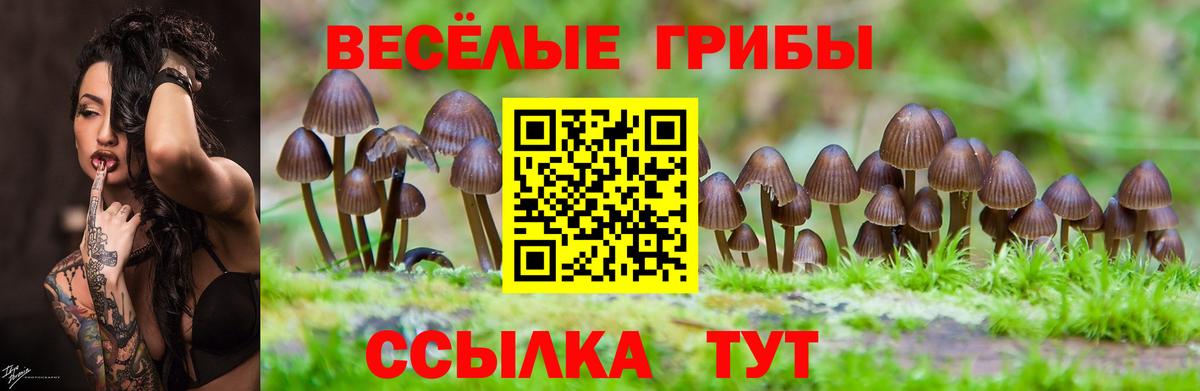 Галлюциногенные грибы ЛСД  Вход с VPN  Псилоцибиновые грибы ЛСД  Избербаш 