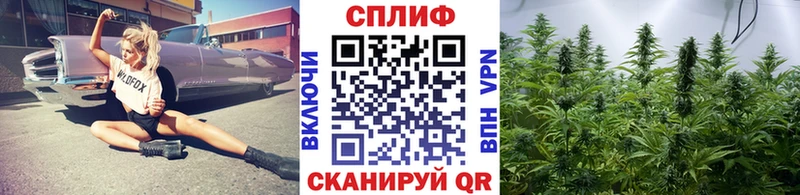 Канабис VHQ  shop состав  Избербаш 